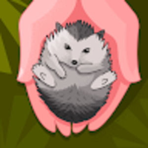 Meet your Posher, Jen